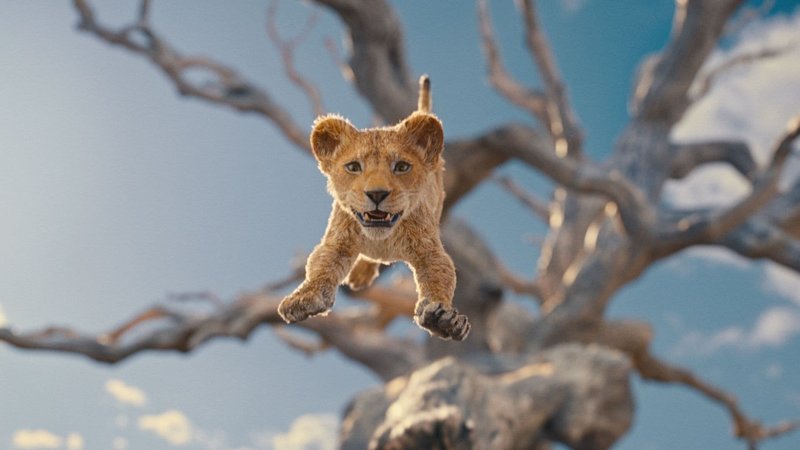 Mufasa 2.jpg Mufasa 2.jpg